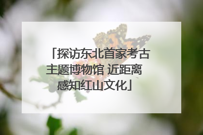 探访东北首家考古主题博物馆 近距离感知红山文化